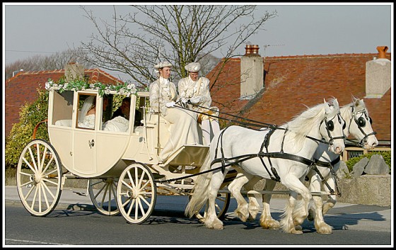wedding-coach-and-horses_66